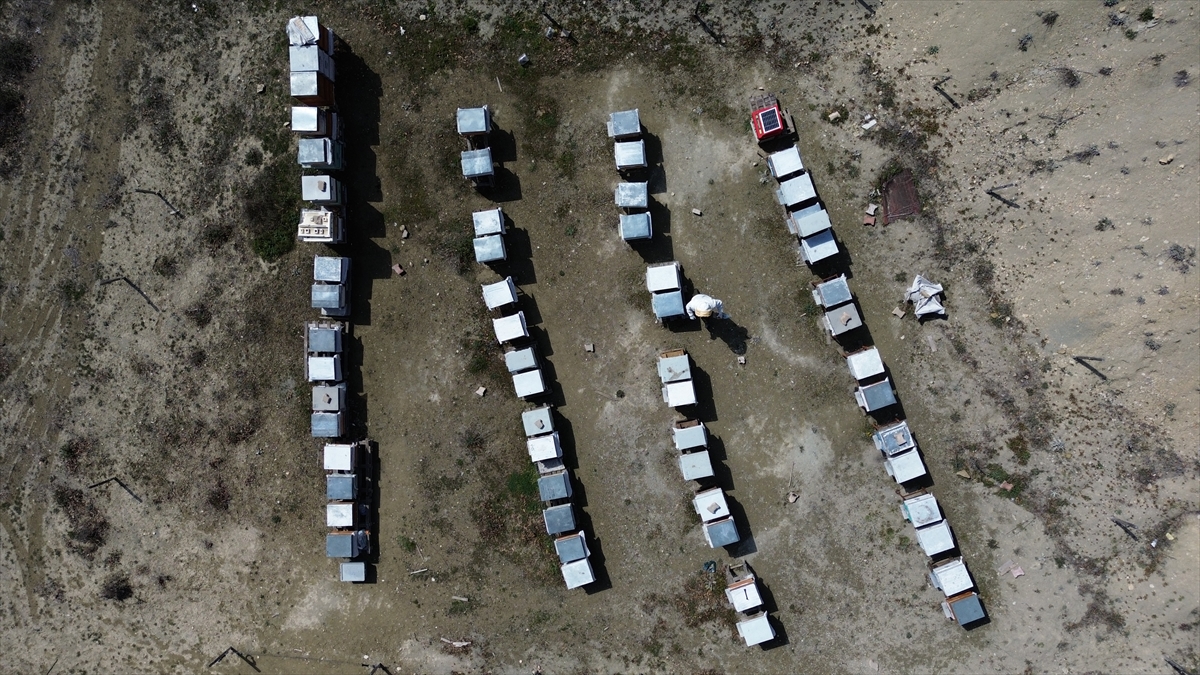 Bilecikli kadın arıcı 3 ilde 4 çeşit bal üretiyor