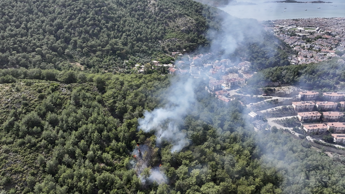 Fethiye'de çıkan orman yangınına müdahale ediliyor