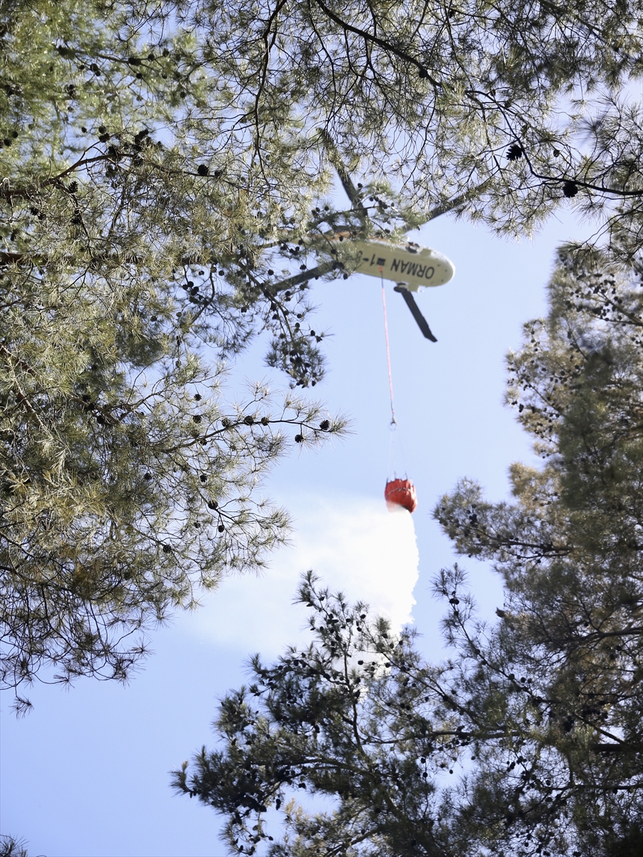 GÜNCELLEME - Fethiye'de çıkan orman yangını kontrol altına alındı